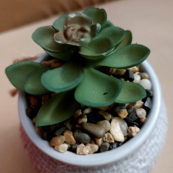 Old East Main Co. Faux Imitation Fake Succulent Plant & Ceramic Vase Gray White - Picture 3 of 9